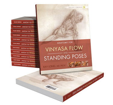 Anatomy for Vinyasa Flow and Standing Poses