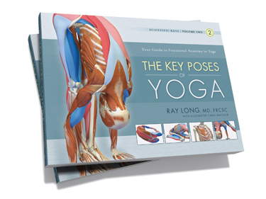 The Key Poses of Yoga