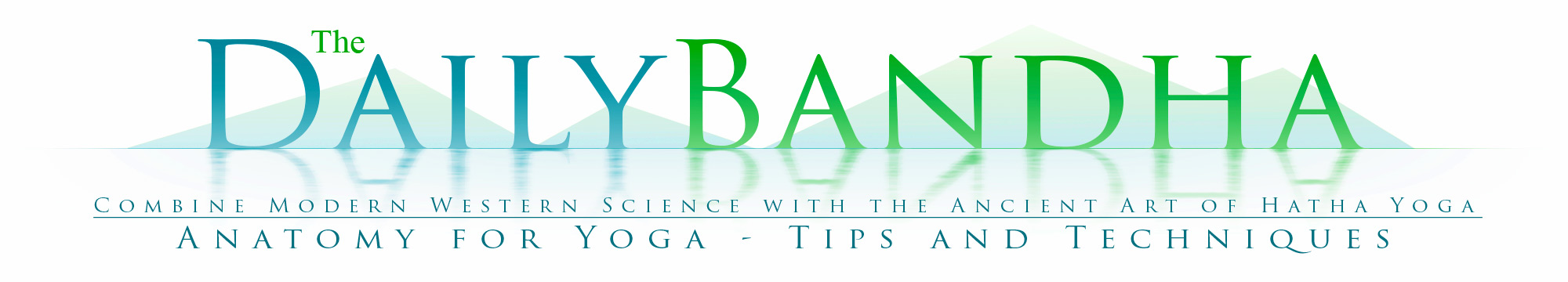 The Bandha Yoga Codex - A step-wise aproach to analyse and refine your poses.