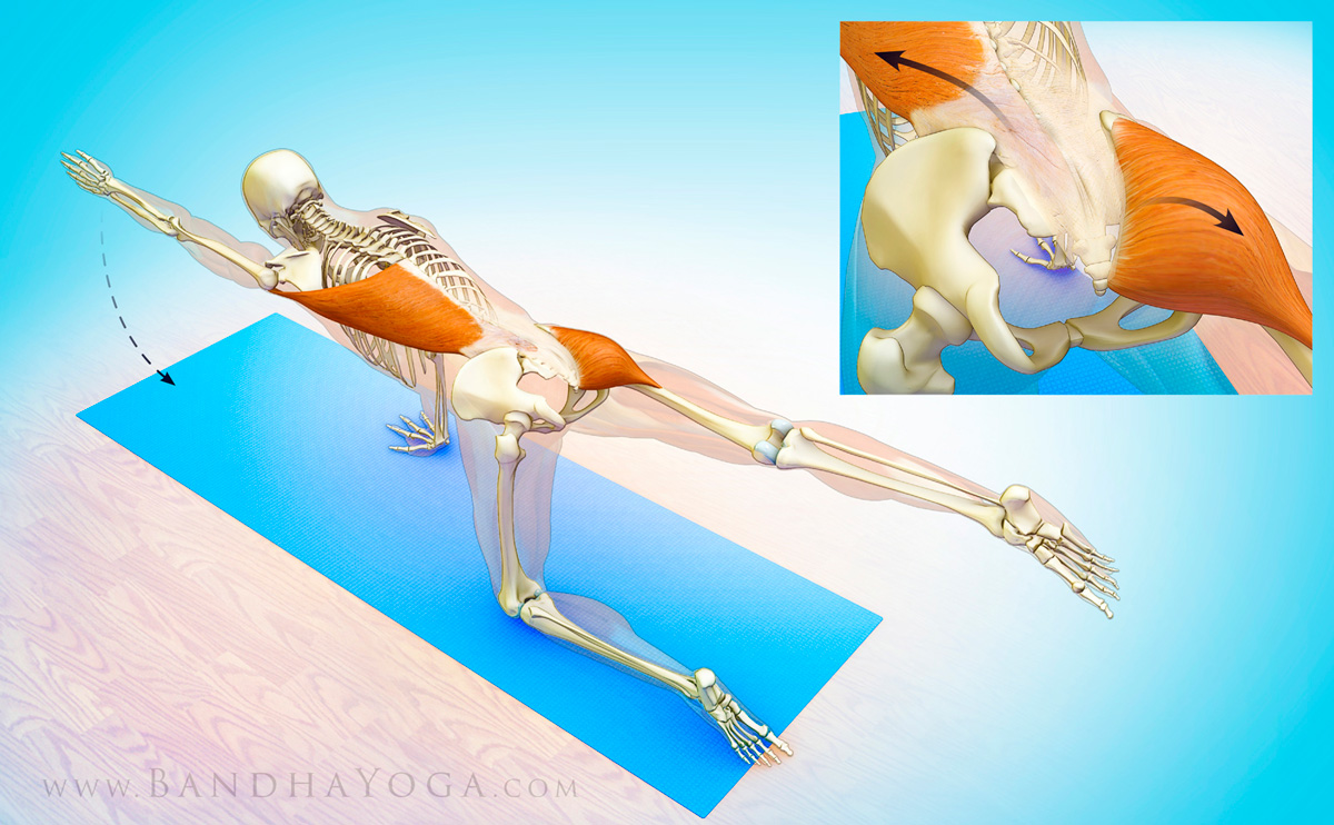 sacroiliac joint muscles