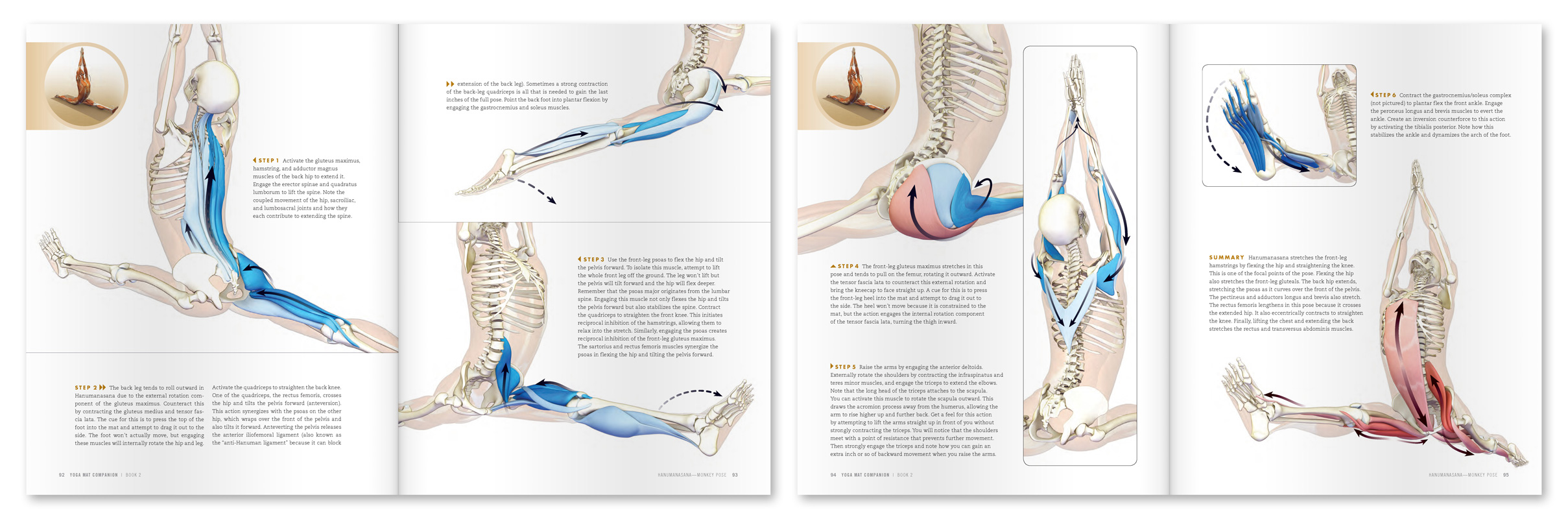 The Daily Bandha Hanumanasana—Front Splits