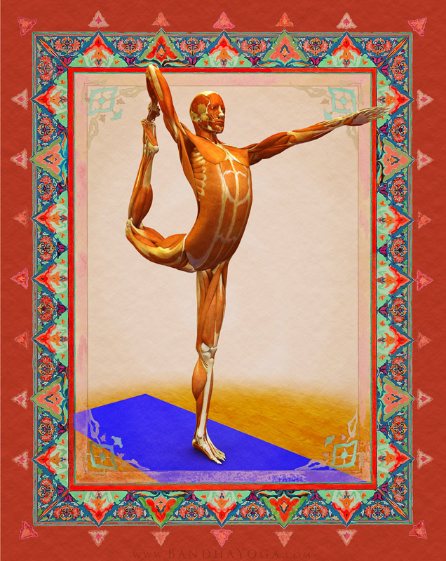 <strong>Dancer's Pose</strong> - This image is from 'Anatomy for Vinyasa Flow and Standing Poses' in the 'Yoga Mat Companion' Series