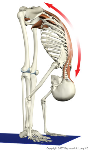 stretches for sciatica. So, to know about sciatica