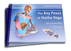 The Key Muscles Of Hatha Yoga Ebook Download