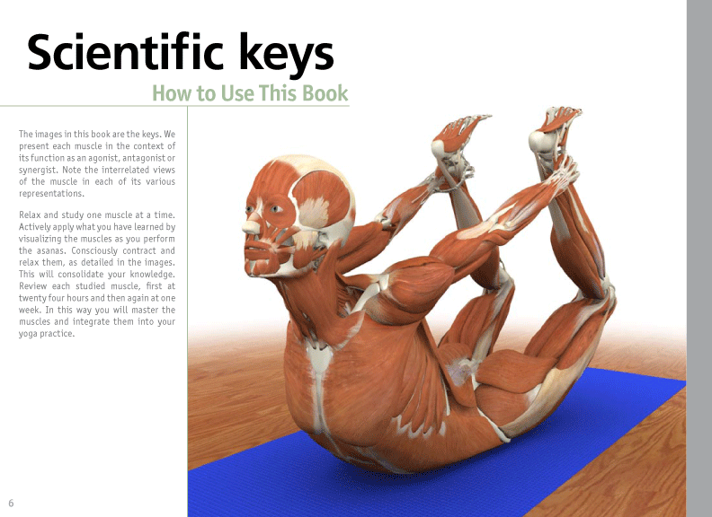 Bandha Yoga - Scientific Keys to Unlock the Practice of Yoga