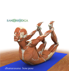 danurasana, bow pose