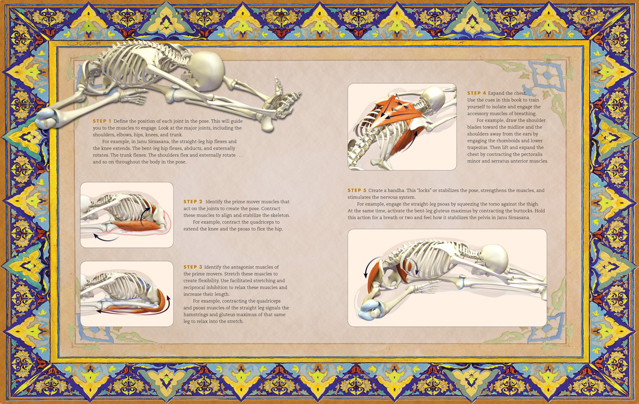 The Bandha Yoga Codex - A step-wise aproach to analyse and refine your poses.