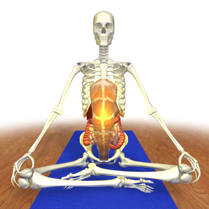 third chakra in seated pose
