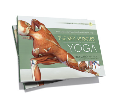 Look inside! Scientific Keys Volume 1 - The Key Muscles of Yoga