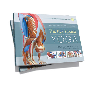Look inside! Scientific Keys Volume 2 - The Key Poses of Yoga